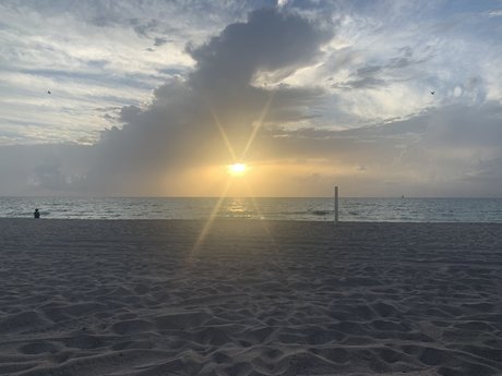 Nelly Nel star pornographique galerie