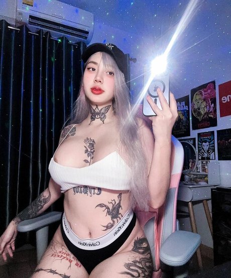 ellekampong meilleure star du porno collection