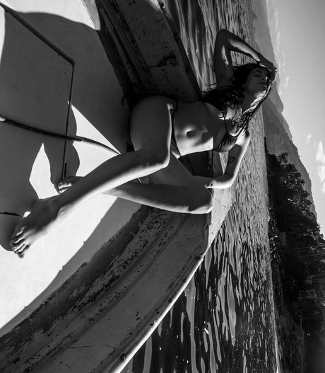 fans danal épais uniquement haute qualité exclusive galeries