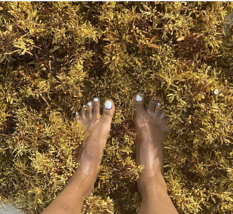 bubble butt onlyfans plutôt sexy images