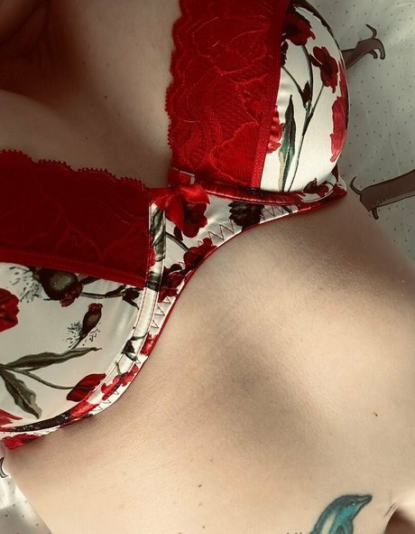 khariscurves haut modèle galerie