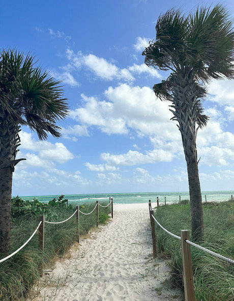 lexxyjordan sexe de star du porno galerie