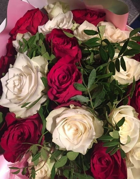 ayakofuji modèle joli galerie