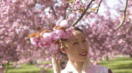 ayakofuji modèle de haute qualité photos