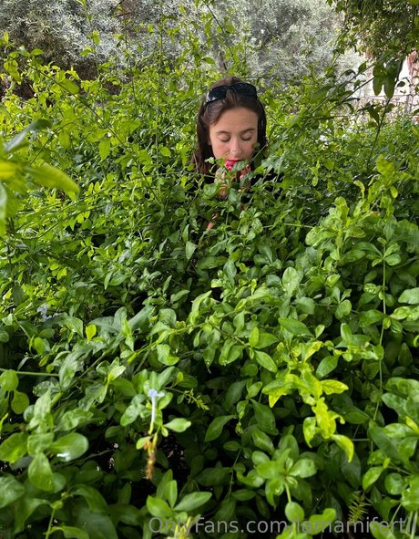 lamamifertil star du porno adulte archive