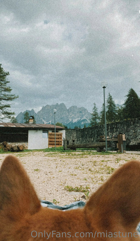 maman fils onlyfans nus images