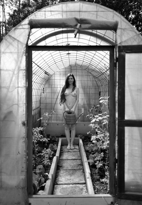 ladyboy cum onlyfans nu en haute qualité images