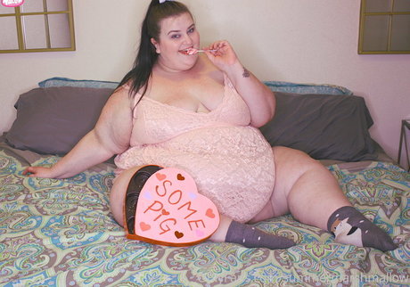 summermarshmallow étoile de haute qualité des photos