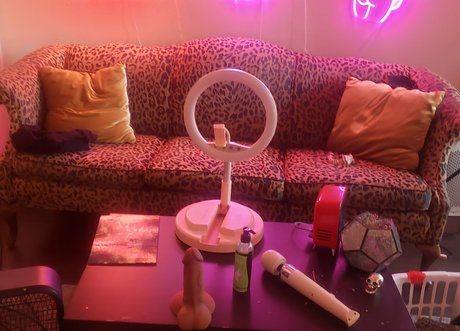 eladarling nus étoiles photo