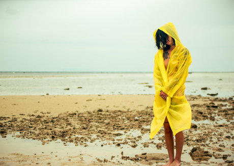 nikitavas étoile gratuite images