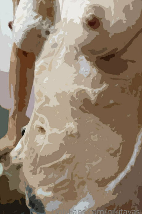 nikitavas belle étoile des photos