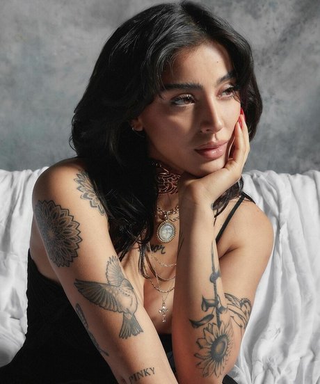 Belenegri étoile hd archive