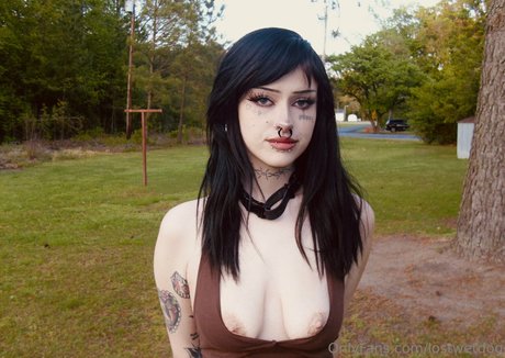 Lostwetdog étoile de l'art des photos