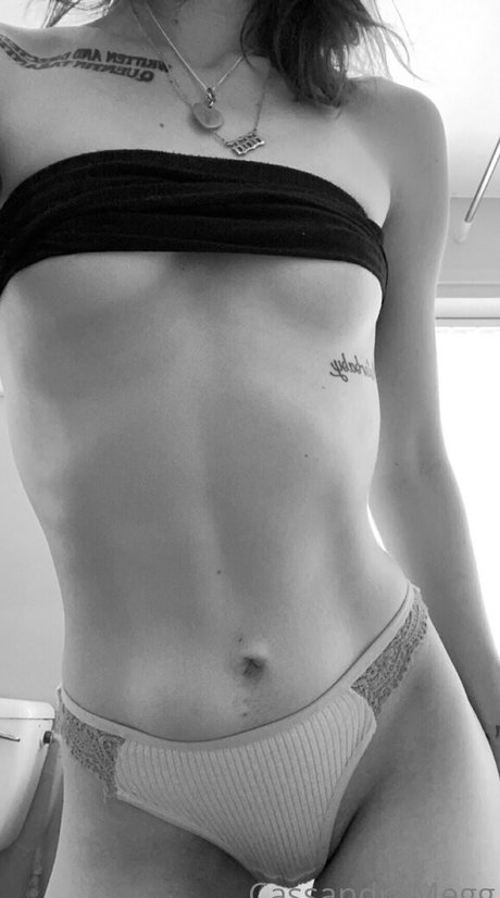 fans asiatiques potelés uniquement art exclusif img