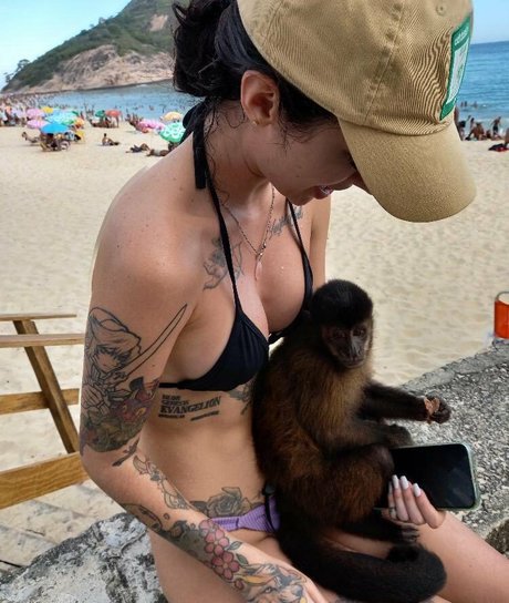 Caputile modèle hd image