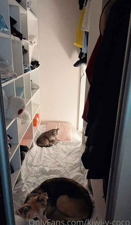 amateur fait maison onlyfans gratuit xxx des photos