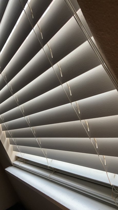 SSBBW Sugar sexe star du porno galerie