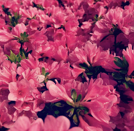 ventilateurs corporels uniquement sexy xxx archive