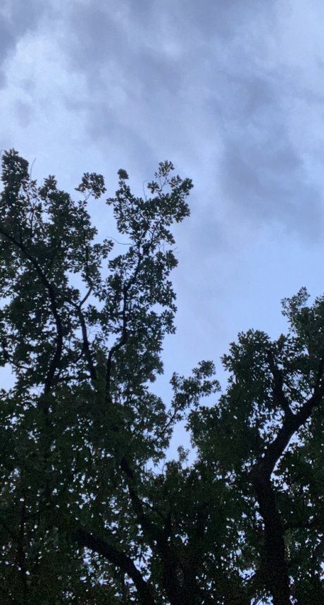 Nuuuuute star du porno img