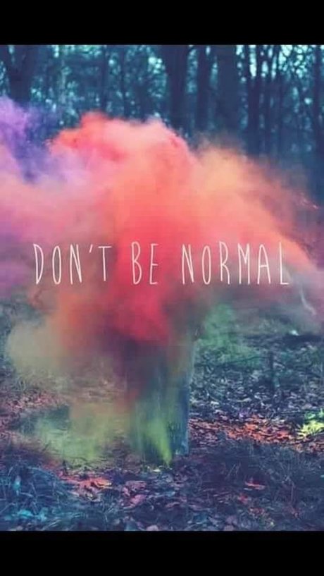 Megs_ star du porno adulte img