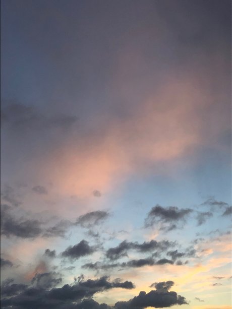 Norma star pornographique image