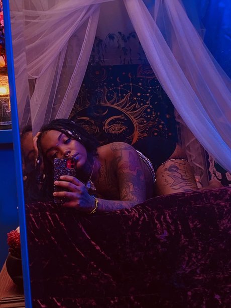 NOLA_ étoile de haute qualité collection