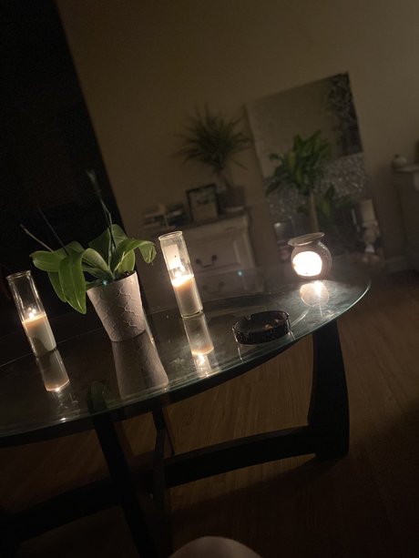 Cole_ étoile adulte image