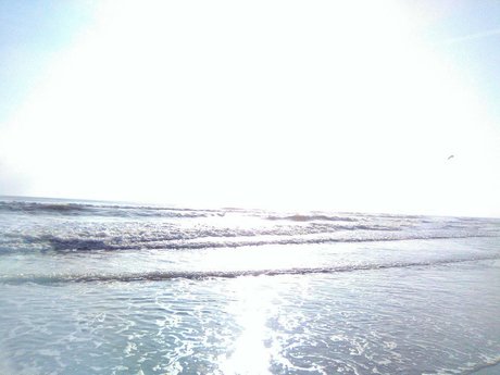 chatte giclante onlyfans parfaite haute qualité archive