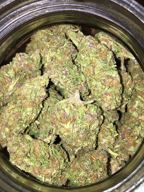 Peach Daddy actrice érotique photos