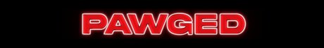 PAWGED art modèle galerie