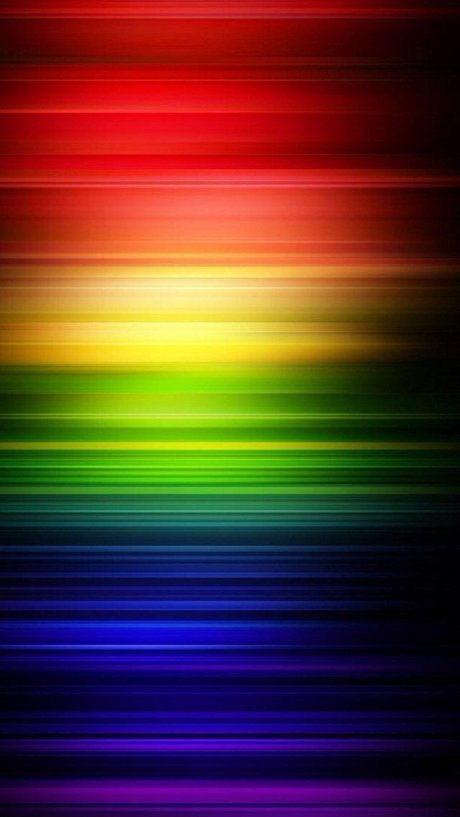 Bubblez top star des photos