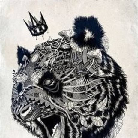 The1KingPanda étoile hd photos