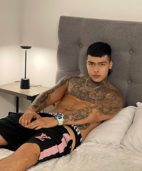 Palomino 29 étoile hd image