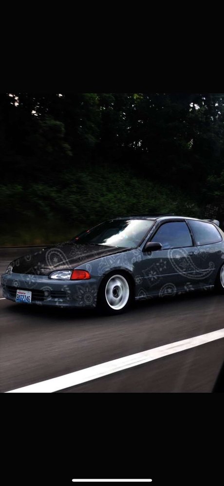 DaddyO actrice sexy collection