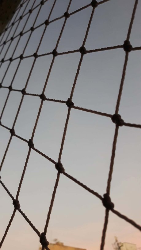 onerom actrice artistique galerie