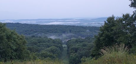 1EyeWally actrice chaude photo