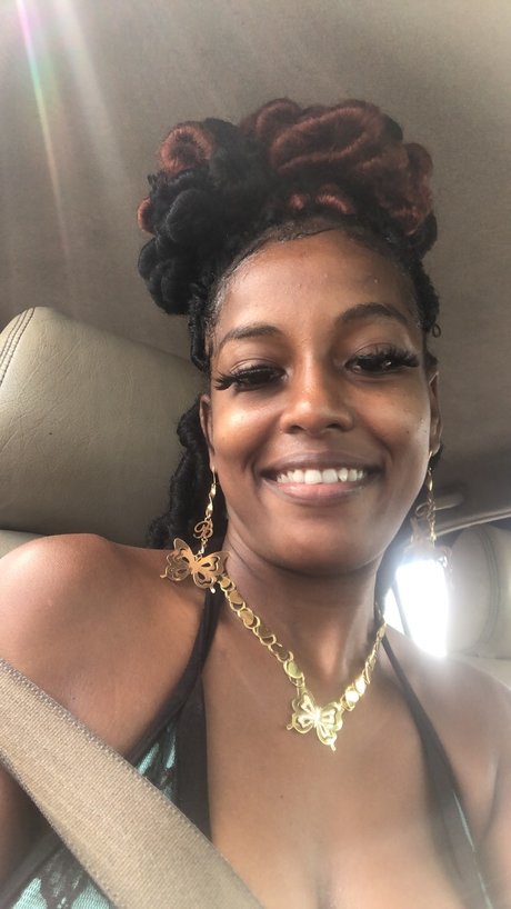 Pretty mixbreed étoile adulte archive