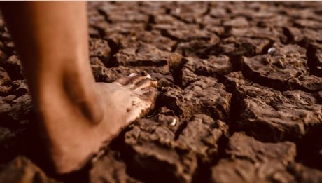 PrettiiTastii étoile gratuite galeries