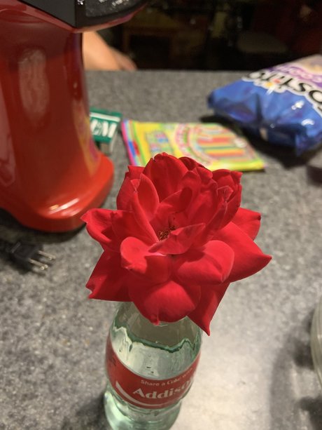 Precious Peach actrice de nus photos