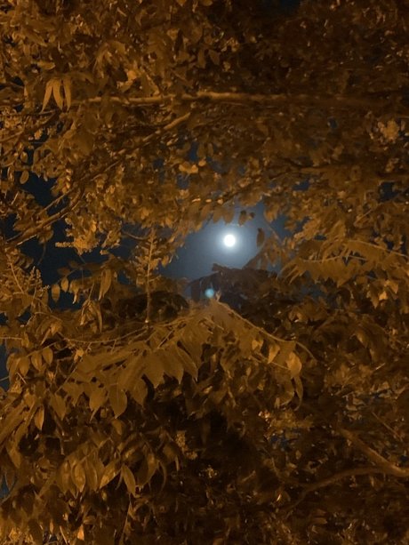 énorme gode onlyfans exclusivité érotique image