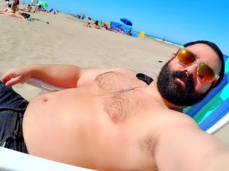 Pocket Bear top star collection