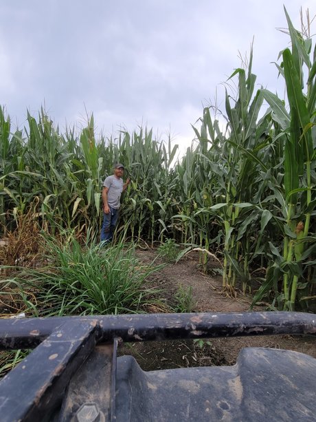 Jerry D Jervah Jr modèle artistique des photos