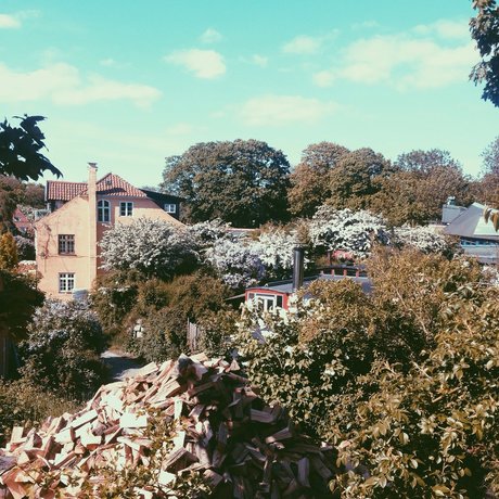 Pippi_ sexe star du porno image