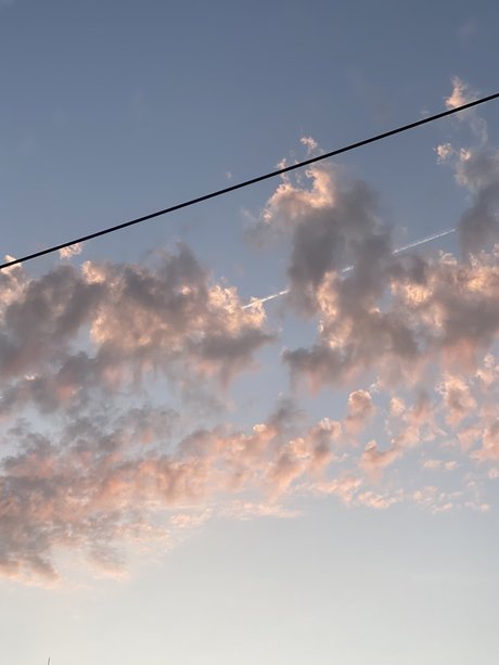 Pinta Exceptionnelle nus de stars du porno des photos