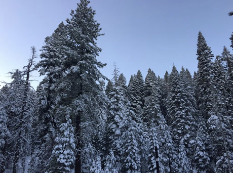 PigbottomIbanez xxx star du porno galerie