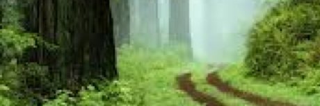 u35508985 modèle gratuit archive