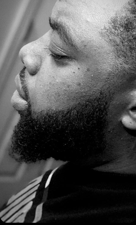 Phillip belle actrice collection