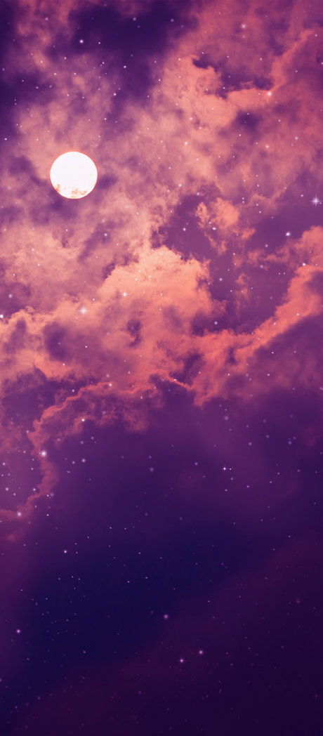 Rachael May étoile de l'art photo