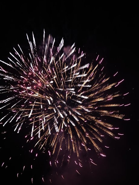 gerbil modèle pornographique galerie