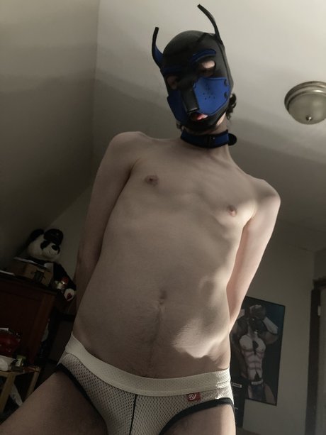 Archie the Pup jolie actrice images